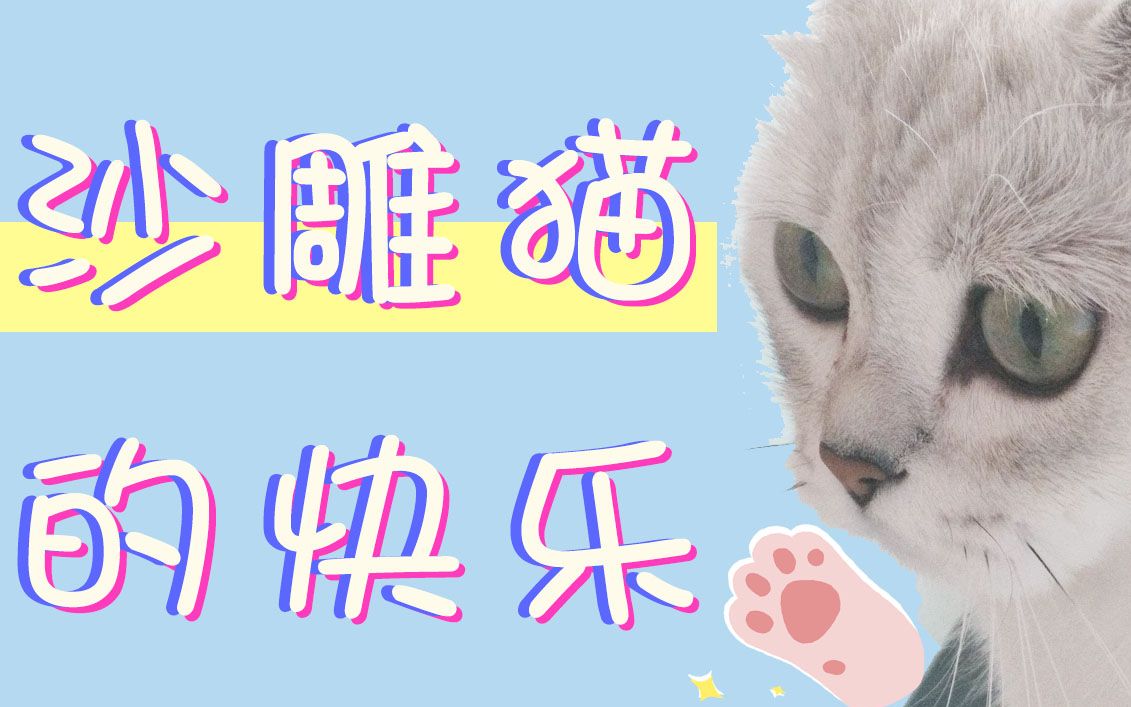 一根头绳沙雕猫的快乐就是如此的简单!魔鬼的旋转猫猫头登场