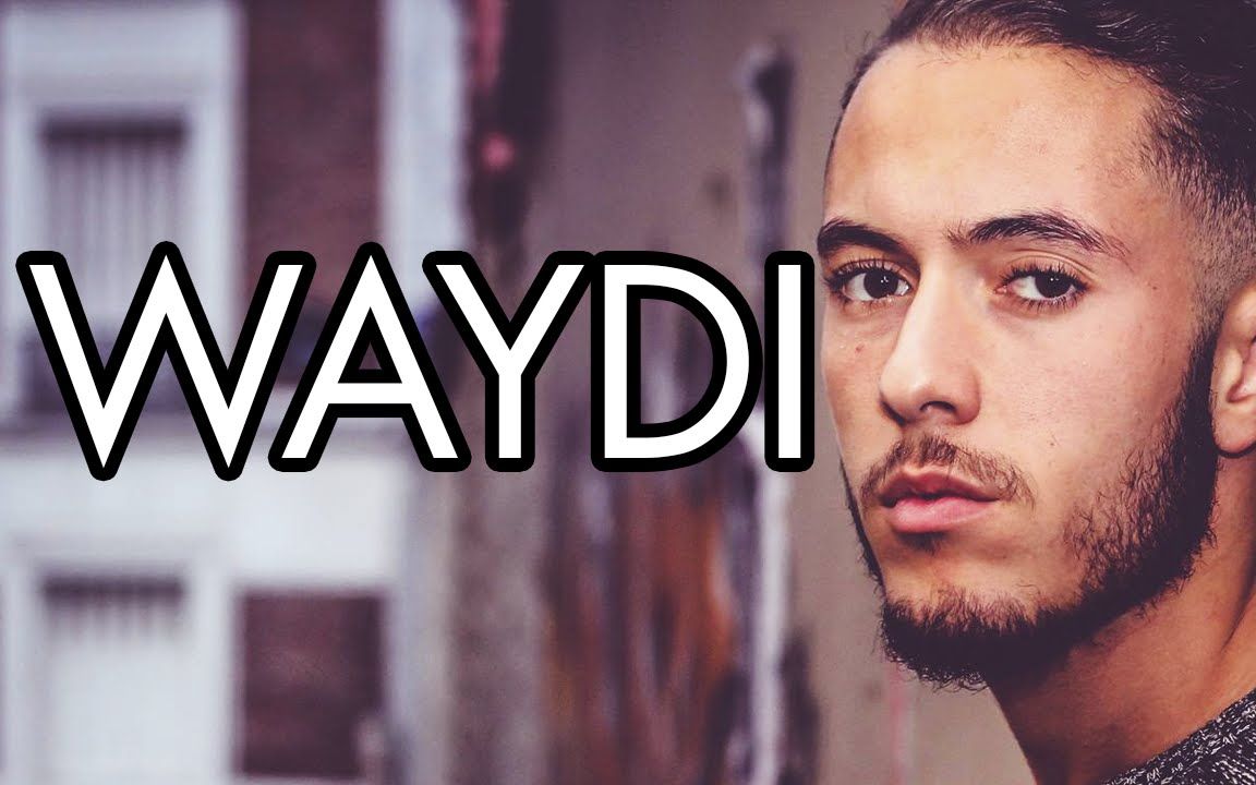 waydi简介卡点之王者无所畏惧的街舞蜜獾那些舞者21勘误skitzo是亚军