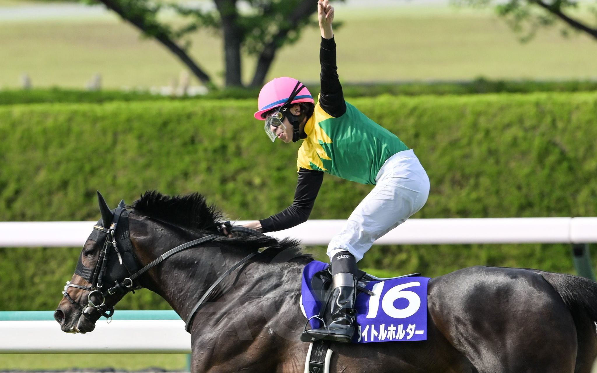 01 天皇赏·春 (g1)【领衔】