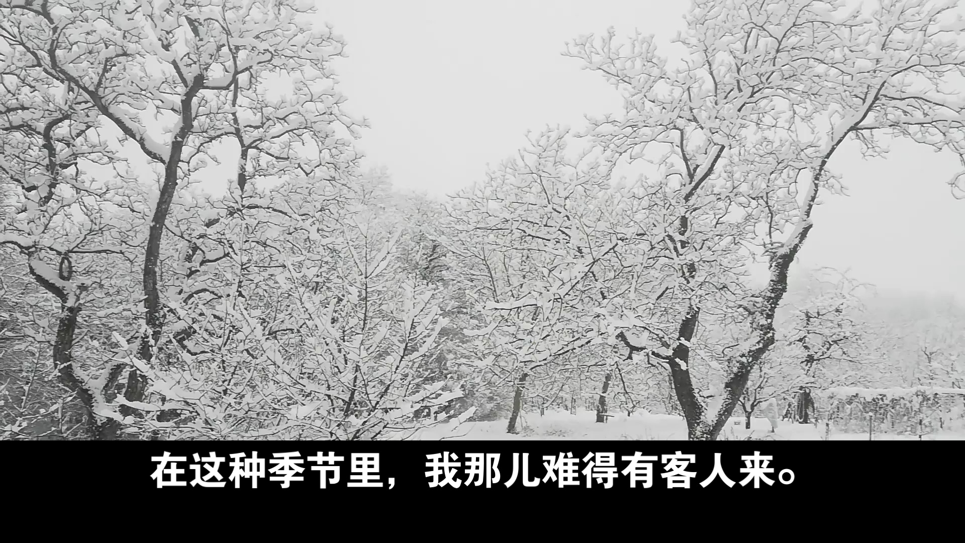 瓦尔登湖 从前的居民和冬天的访客-7