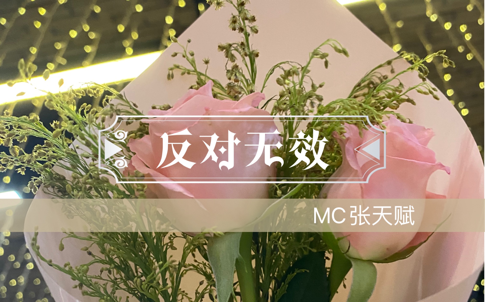 反对无效 - mc张天赋