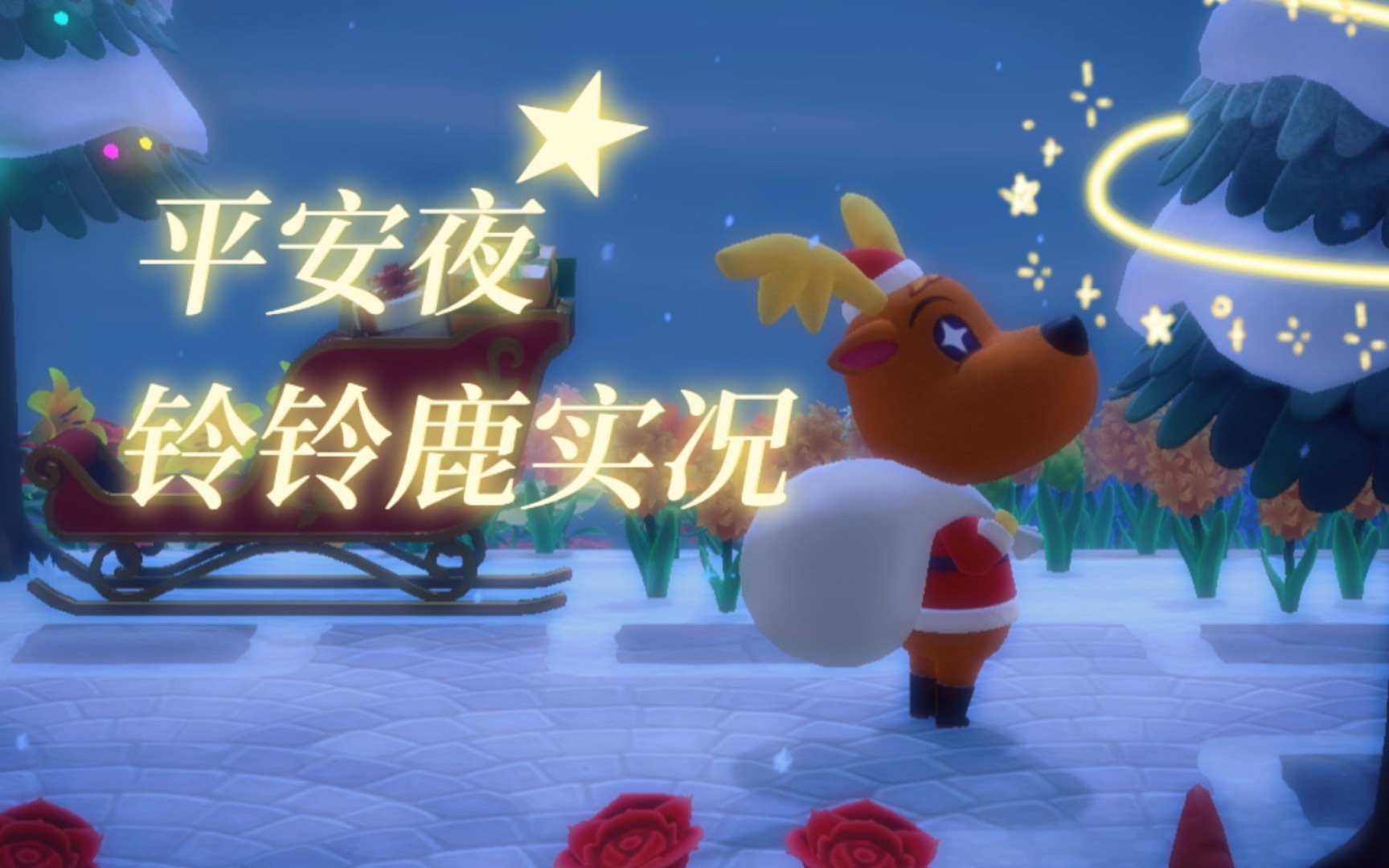 活动作品国行动森005