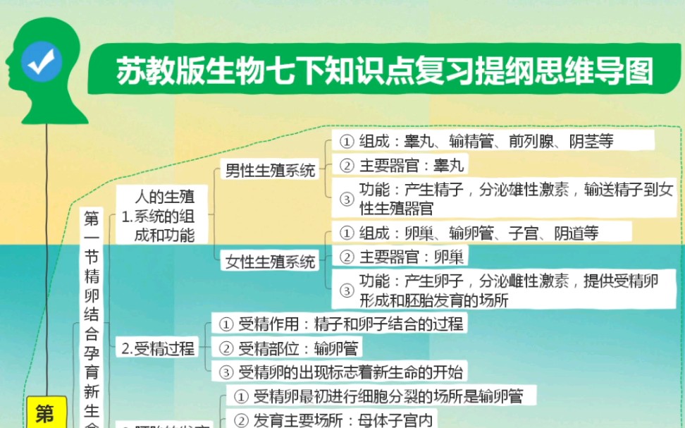 思维导图来袭!解锁苏教版生物七下复习新姿势哔哩哔哩bilibili