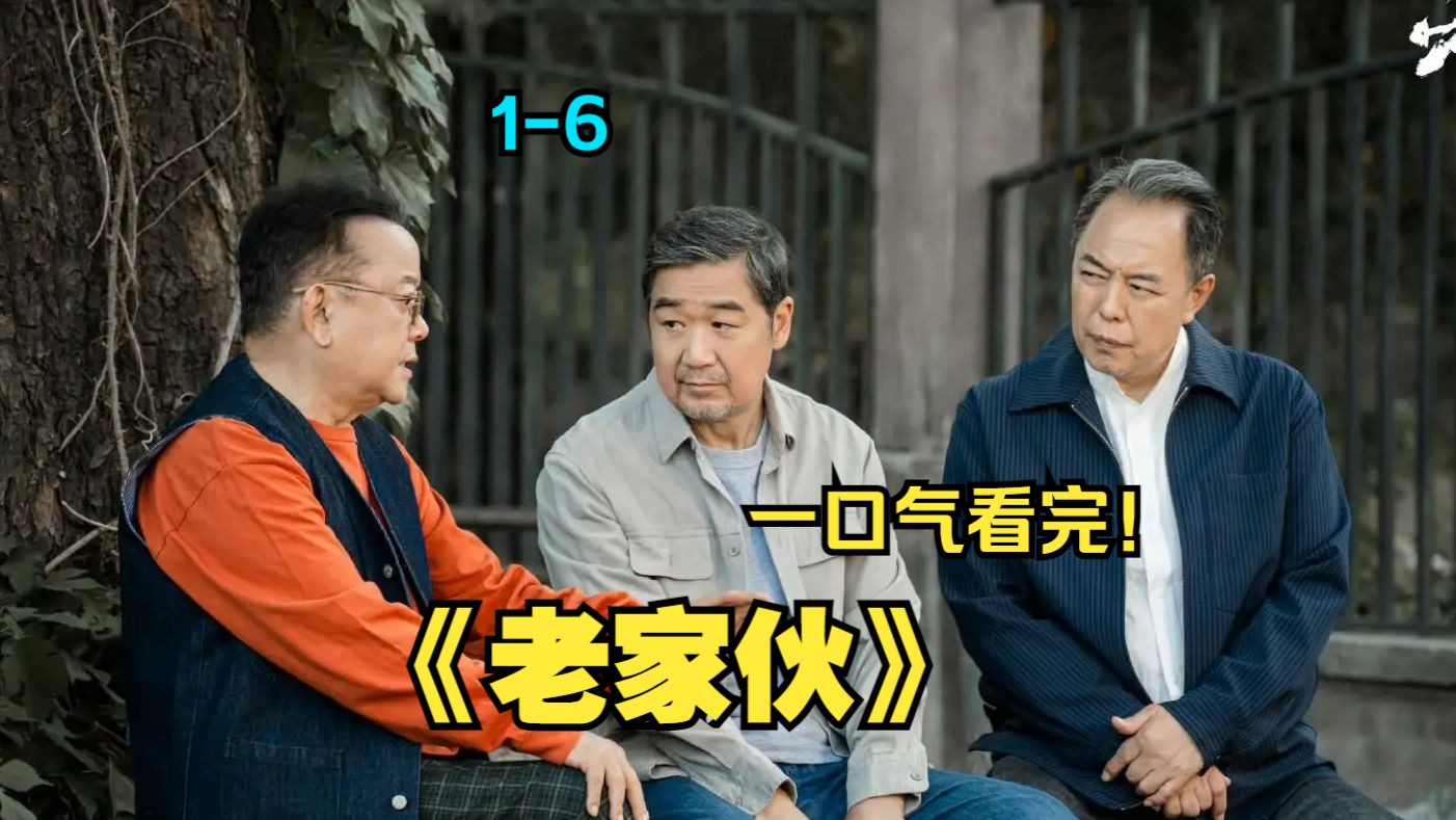 一口气看完《老家伙》1-6,讲述了肖长庆,孙前程,陈新城3位退休老人"