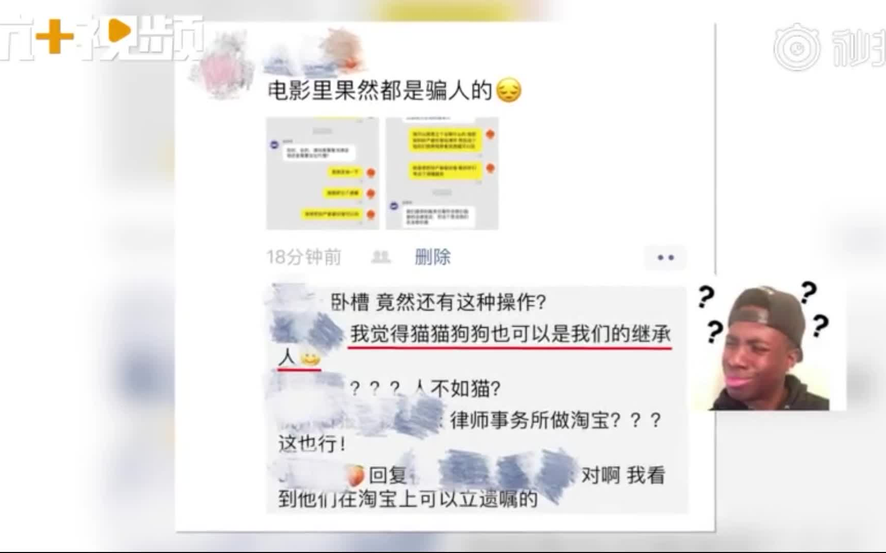 95后女孩立遗嘱财产留给流浪猫,称猫比孩子更需要照顾哔哩哔哩bilibili