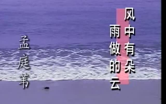 [图]厦新名曲MTV（一）