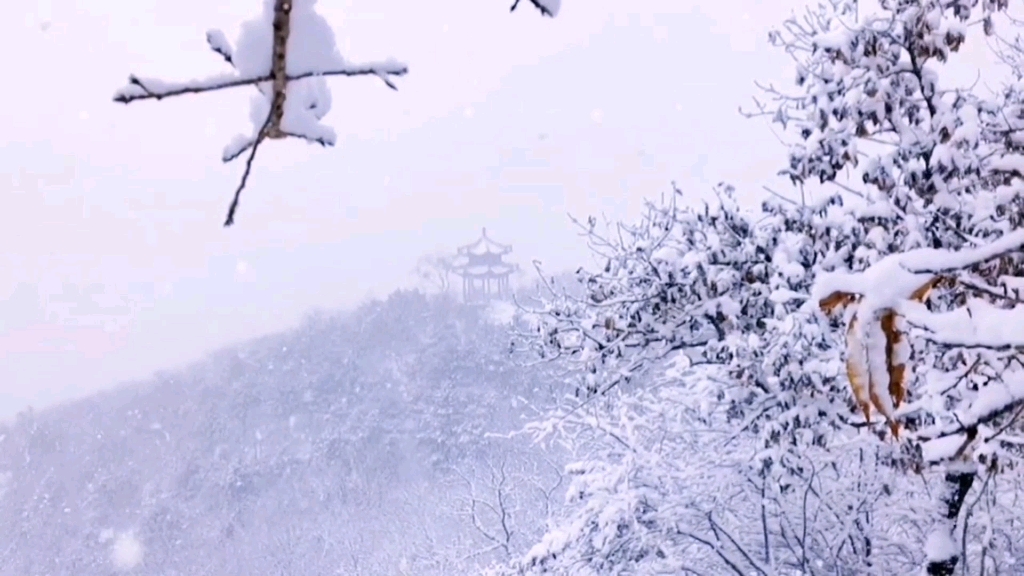 [图]雪花飞舞的银白世界，太美了！