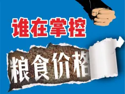 Download Video: 14亿人的粮食价格，究竟由谁掌控？