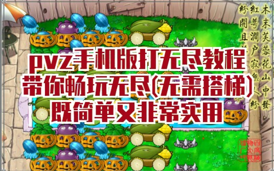 [图]【pvz】无尽新手请进，教你简单轻松打无尽!(无需搭梯)