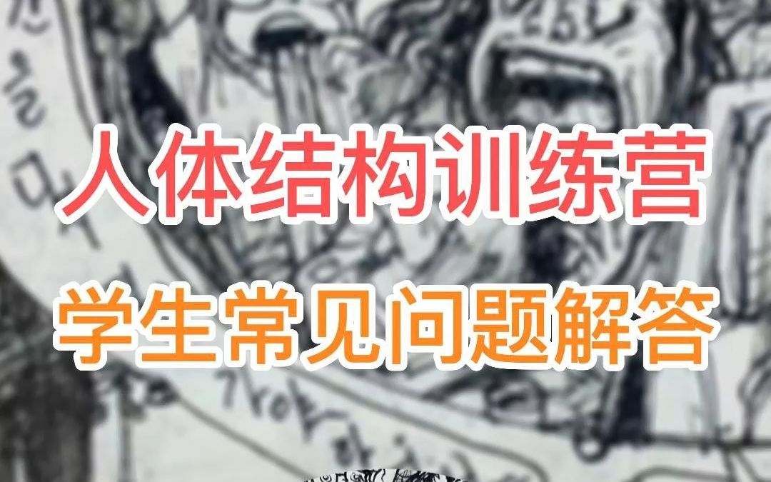 人体结构训练,常见问题解答!哔哩哔哩bilibili