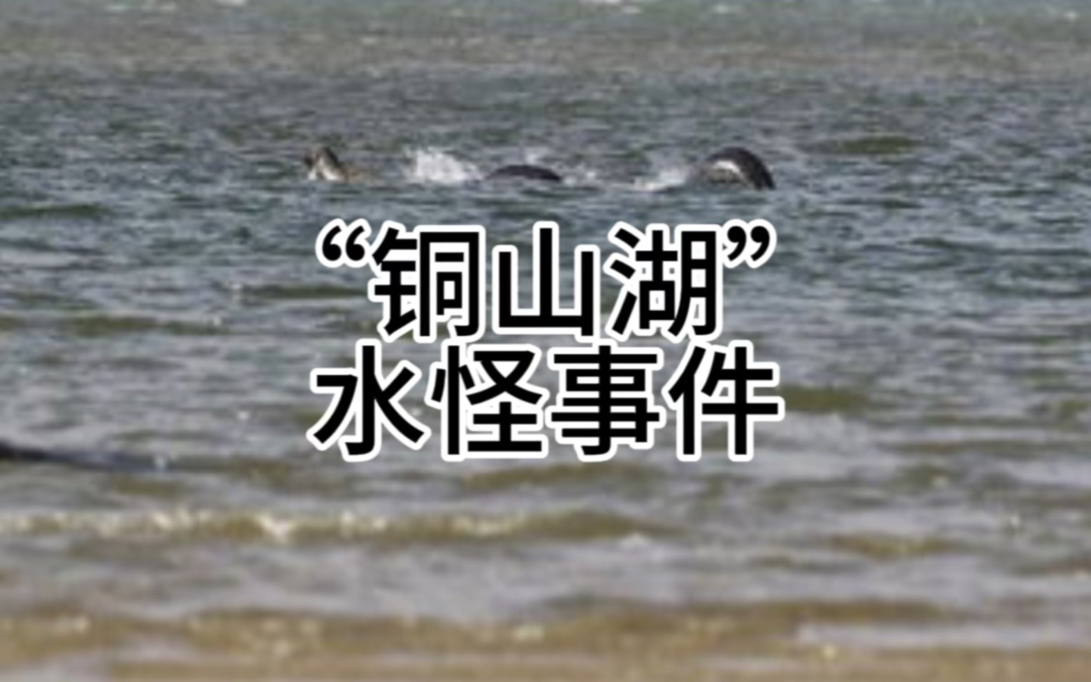 【奇闻轶事】铜山湖水怪事件