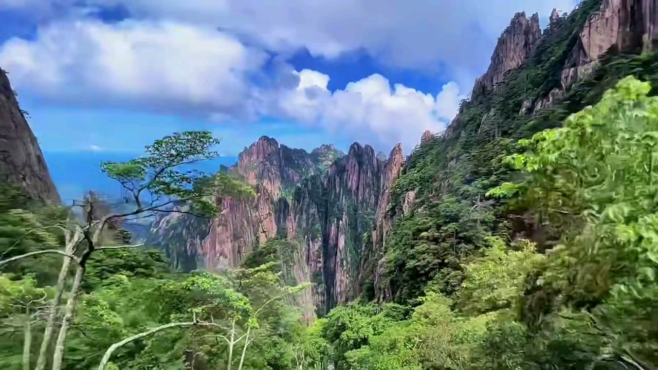 带你游黄山西海大峡谷!绝美景色,鬼斧神工!_哔哩哔哩_bilibili