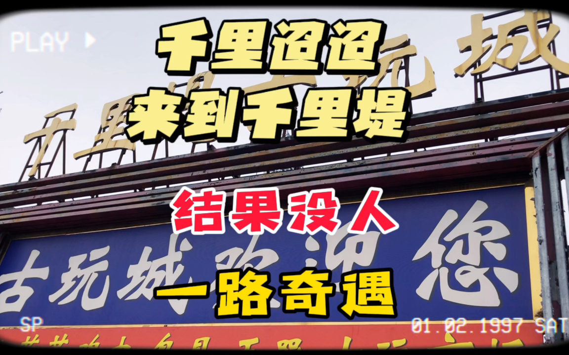 从北京到天津,千里迢迢来到千里堤!路上还看到羊群,你们来过吗哔哩哔哩bilibili