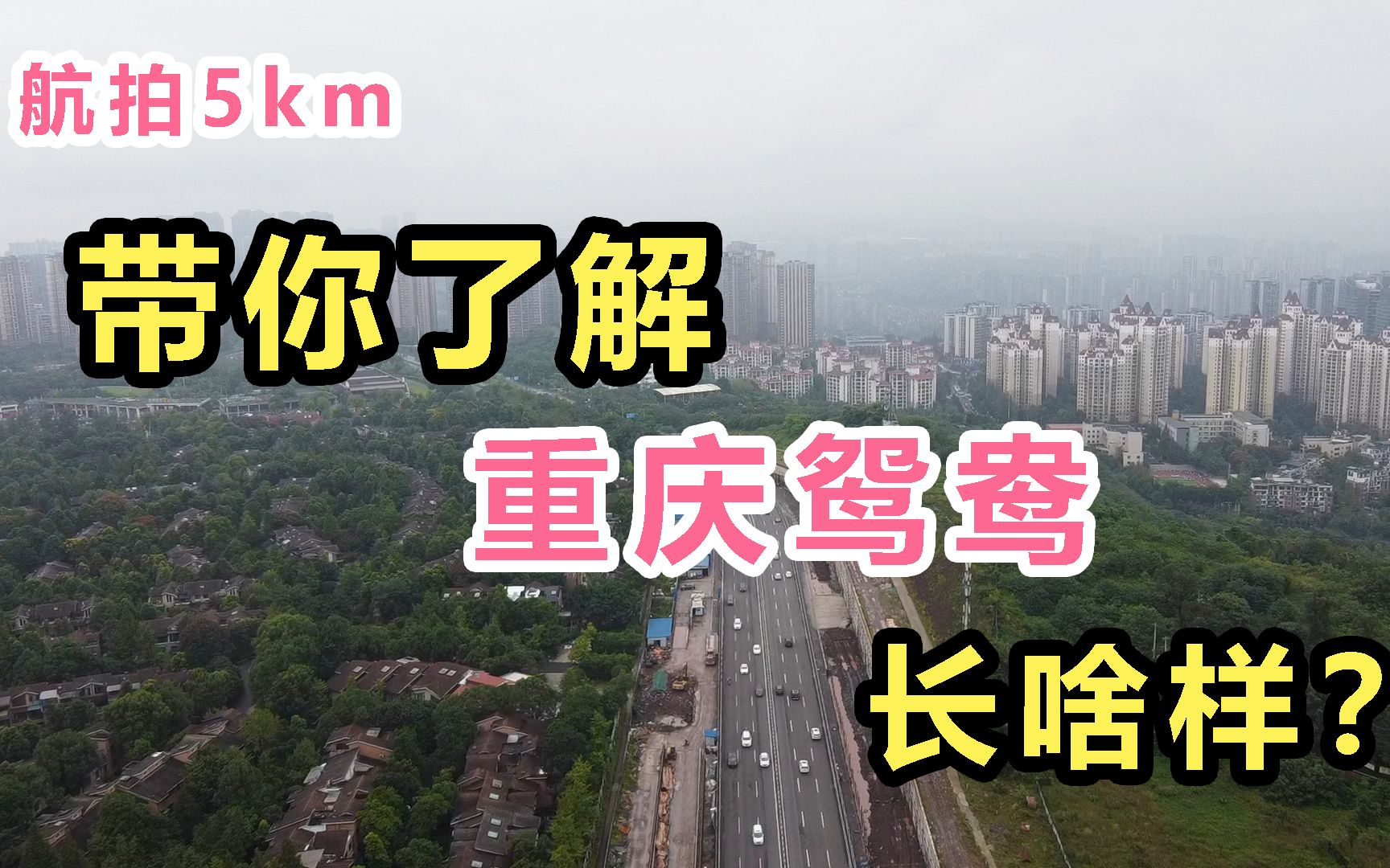 重庆鸳鸯到底长啥样?航拍5km,一起去俯瞰吧!哔哩哔哩bilibili