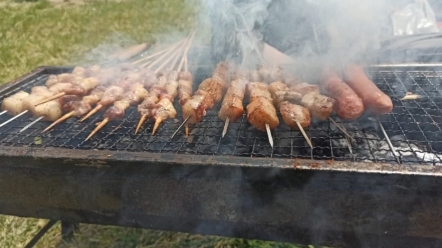 美好的一天,从和小伙伴的野炊开始,湖边景色春意盎然,二三好友晒晒日光浴,效果肯定是有的,因为他们见到我都说我黑了!美中不足的是风有点大,...