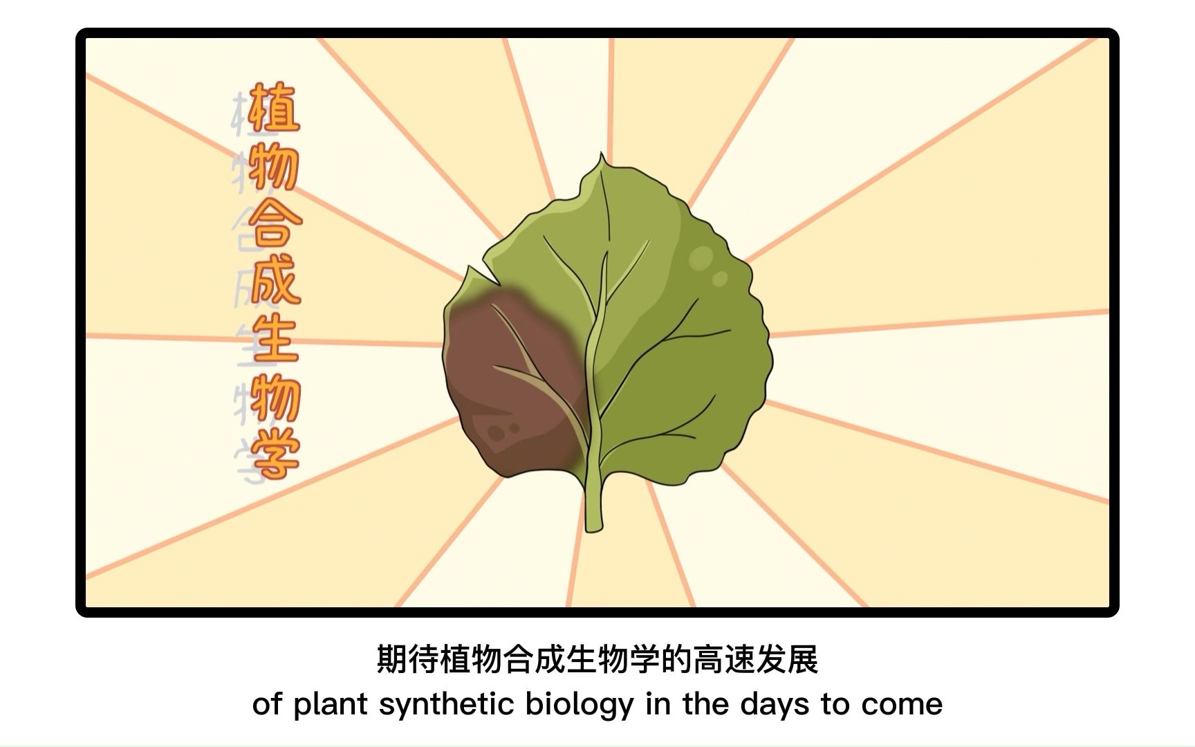 #生物设计研究 植物#合成生物学 研究中启动子及终止子的基准测试哔哩哔哩bilibili