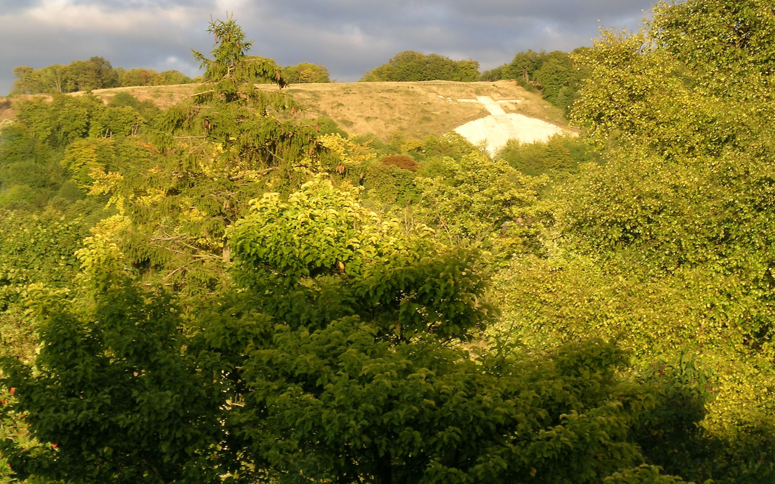 [管乐]whiteleaf hill 白叶山 by benjamine tucker