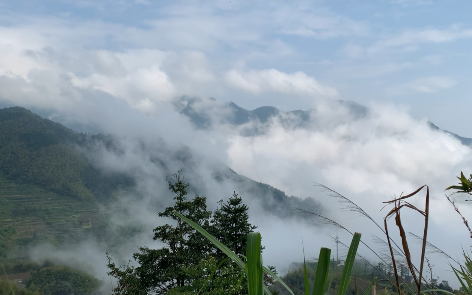 [图]丽水松阳 陈家铺村 下过雨后，别样的美