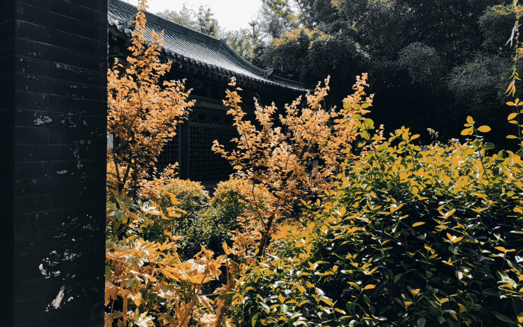 《乌龙院》(对蔡国蘅老先生录音的一段拙劣模仿)-无名_小道-无名_小道-哔哩哔哩视频