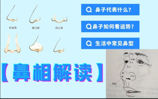 [图]鼻相解读 “鼻子代表什么？鼻子如何看流年运势？生活中常见鼻型代表什么？”