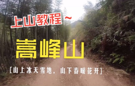 海拔1500的嵩峰山上山教程哔哩哔哩bilibili