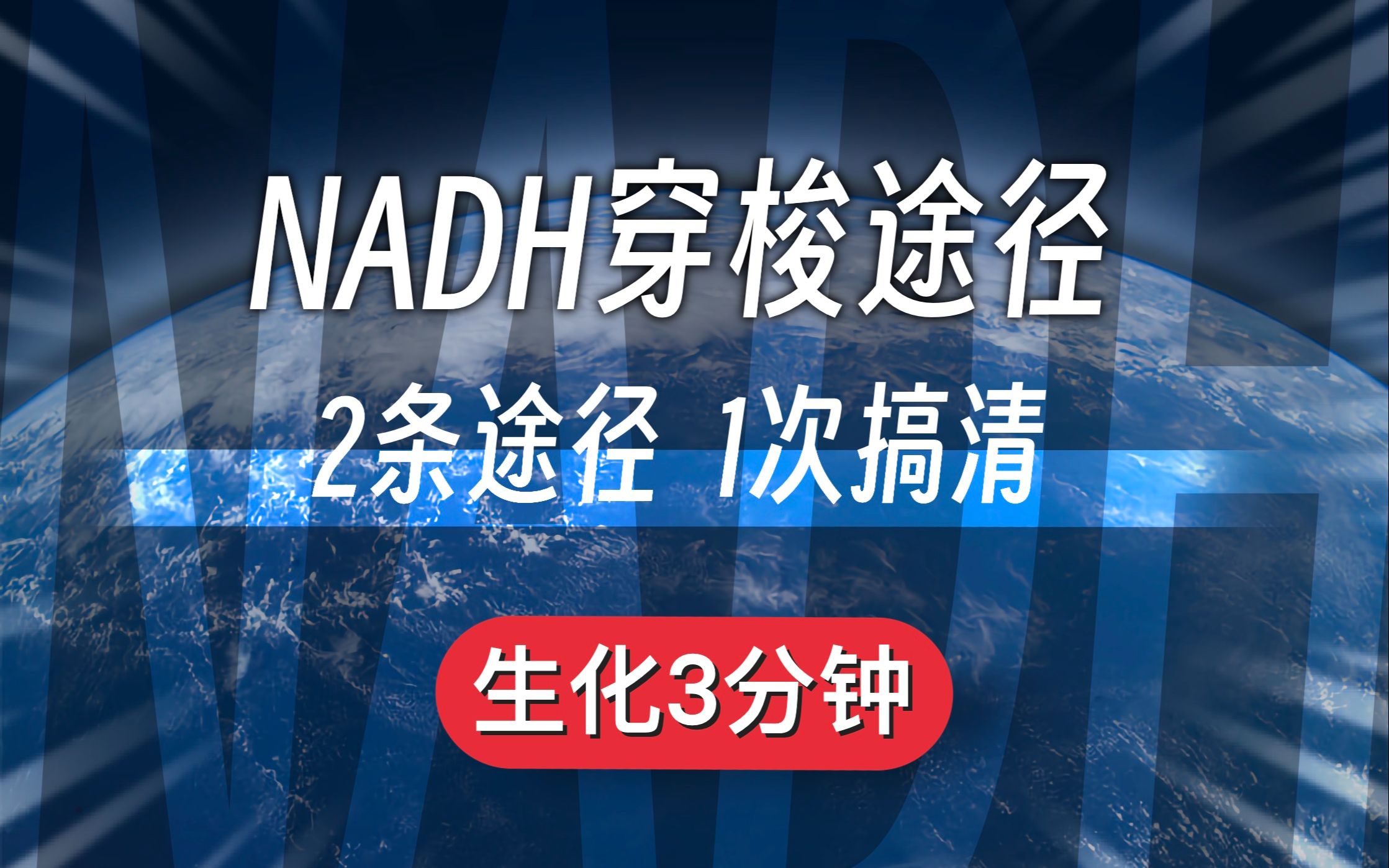 【生化3分钟】NADH穿梭途径|2条途径 1次讲清|生化考研必备哔哩哔哩bilibili