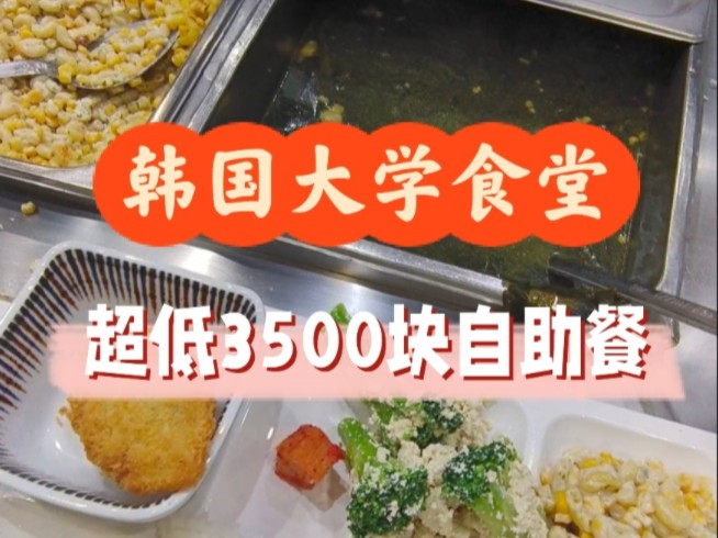 【全网超低】韩国大学食堂3500自助晚餐长啥样10哔哩哔哩bilibili