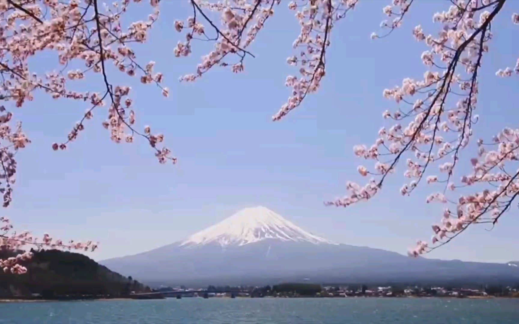 [图]“你连前奏都没有听完，怎么知道它是富士山下还是爱情转移”