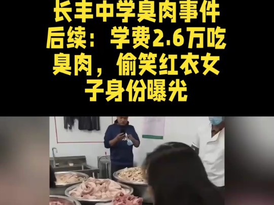 长丰中学臭肉事件后续:学费2.6万吃臭肉,偷笑红衣女子身份曝哔哩哔哩bilibili