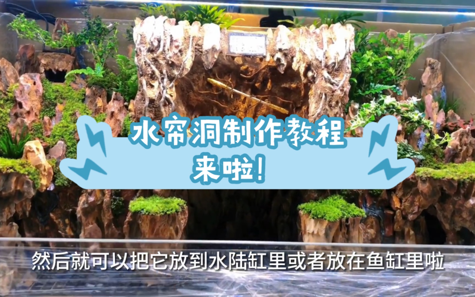 顶着35度的高温,终于录制完成了,水帘洞造景制作完整版!