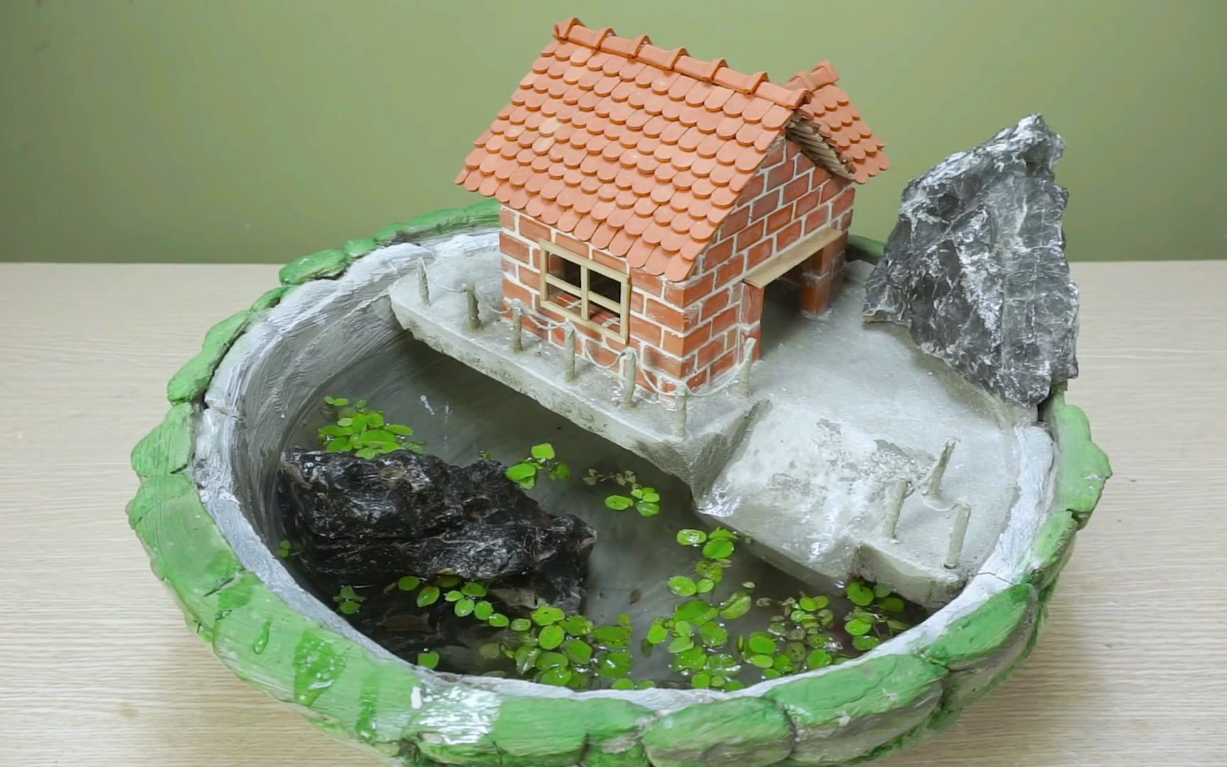 新入手几只小乌龟,应该给它们建造一个什么样的房子呢?