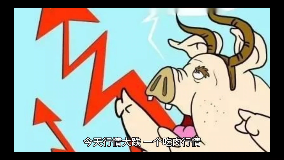 今天股市大涨,是一个吃肉行情