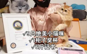 Tải video: 《猫舍资产盘点》: 除了钱包空空，一切都很美好