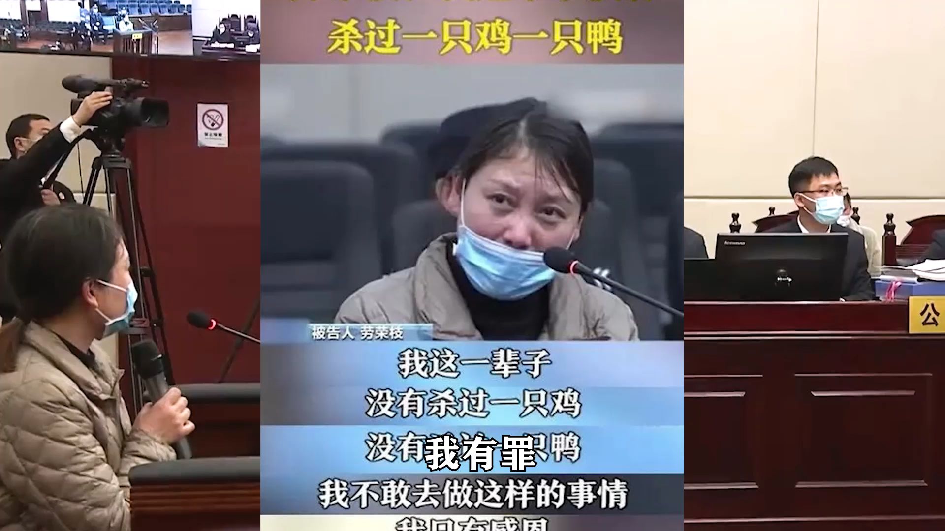 最美女魔头劳荣枝死刑复核最新进展,或将可能改判死缓或无期?