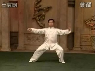 [图]陈氏太极拳・老架一路 74式 (陳正雷)