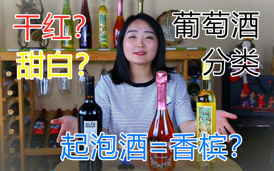 干红是啥?甜白又是啥?香槟=起泡酒么?你能从葡萄酒的命名得出它的分类信息么?快来看看葡萄酒是如何分类的吧!别再乱喊一通了!哔哩哔哩bilibili