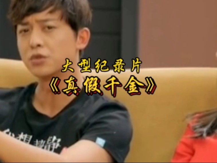 大型纪录片《真假千金》