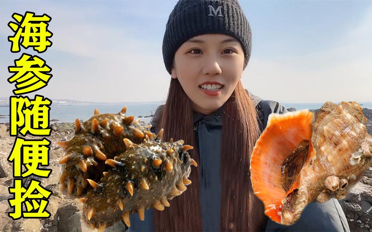 小双赶海发现神秘海域海参海螺遍地爬全部白捡不要钱
