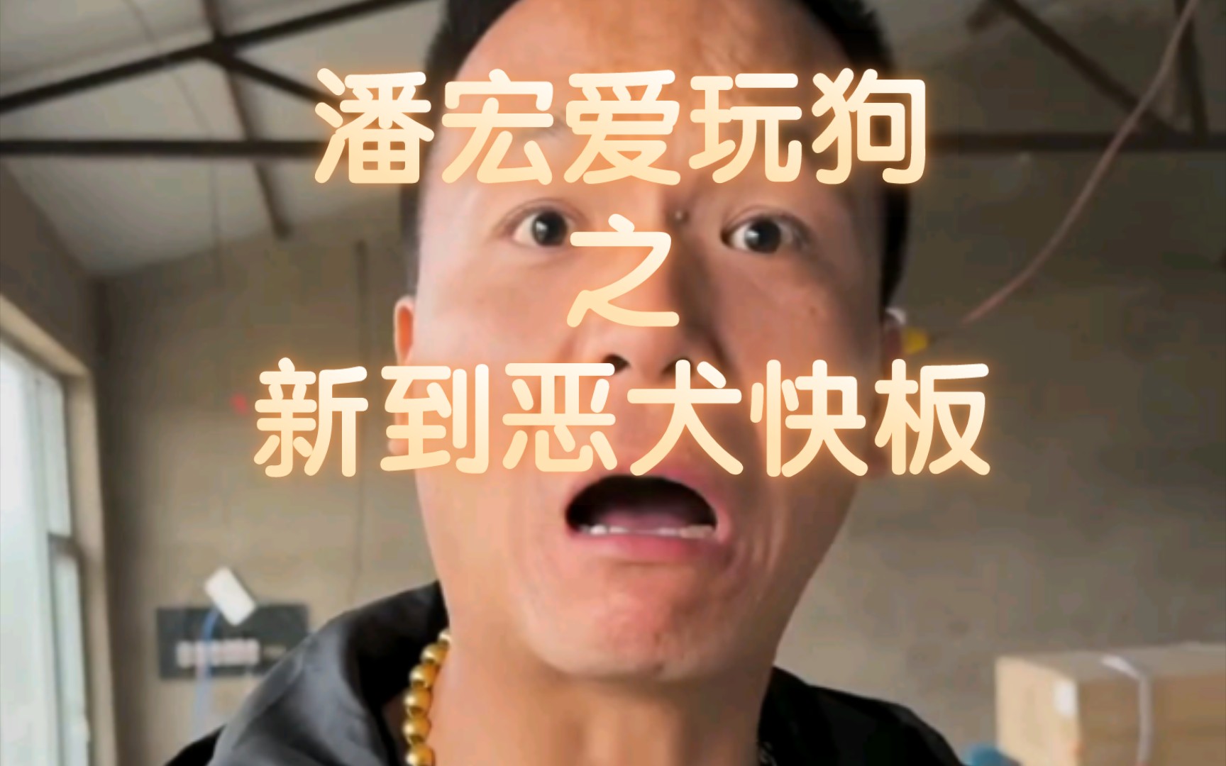 【潘宏】"它现在是狗场最凶的狗"