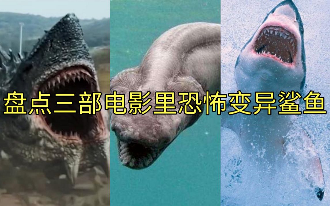 盘点:变异鲨鱼拥有章鱼八只触手,水陆两栖凶狠无比,谁更厉害