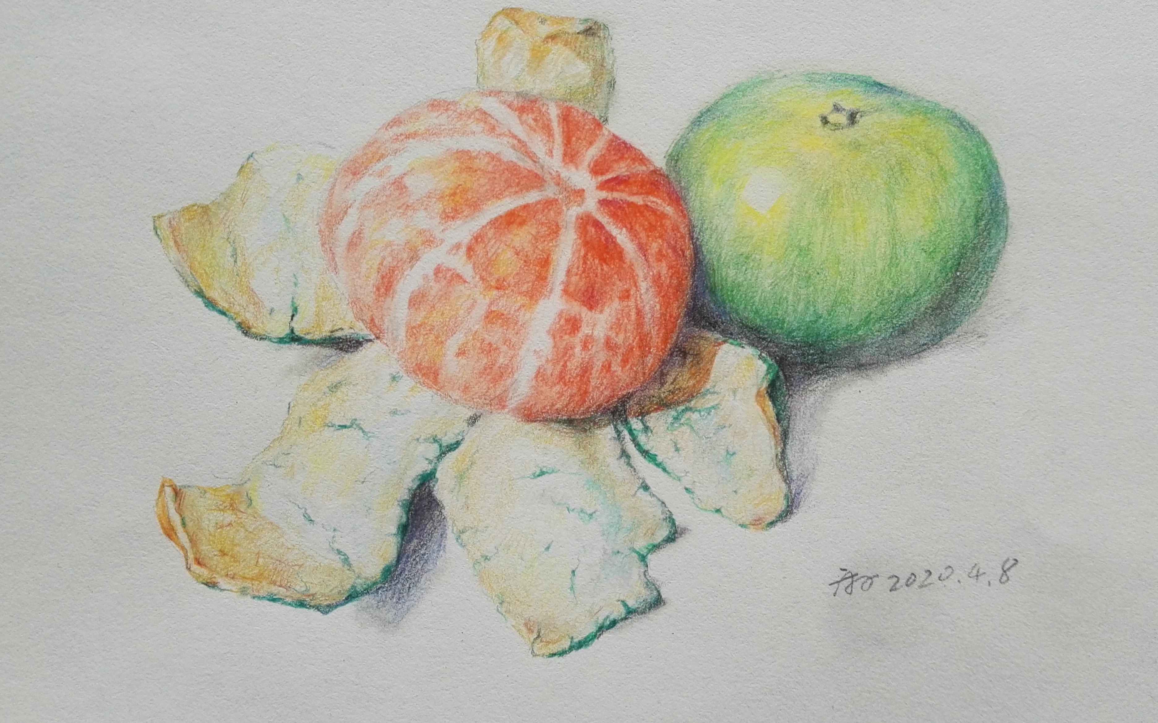 彩铅【青桔】_哔哩哔哩_bilibili