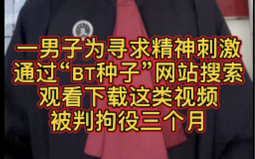 一男子为寻求精神刺激通过“BT种子”网站搜索观看下载这类视频被判拘役三个月,缓刑六个月,并处罚金人民币一千元!哔哩哔哩bilibili