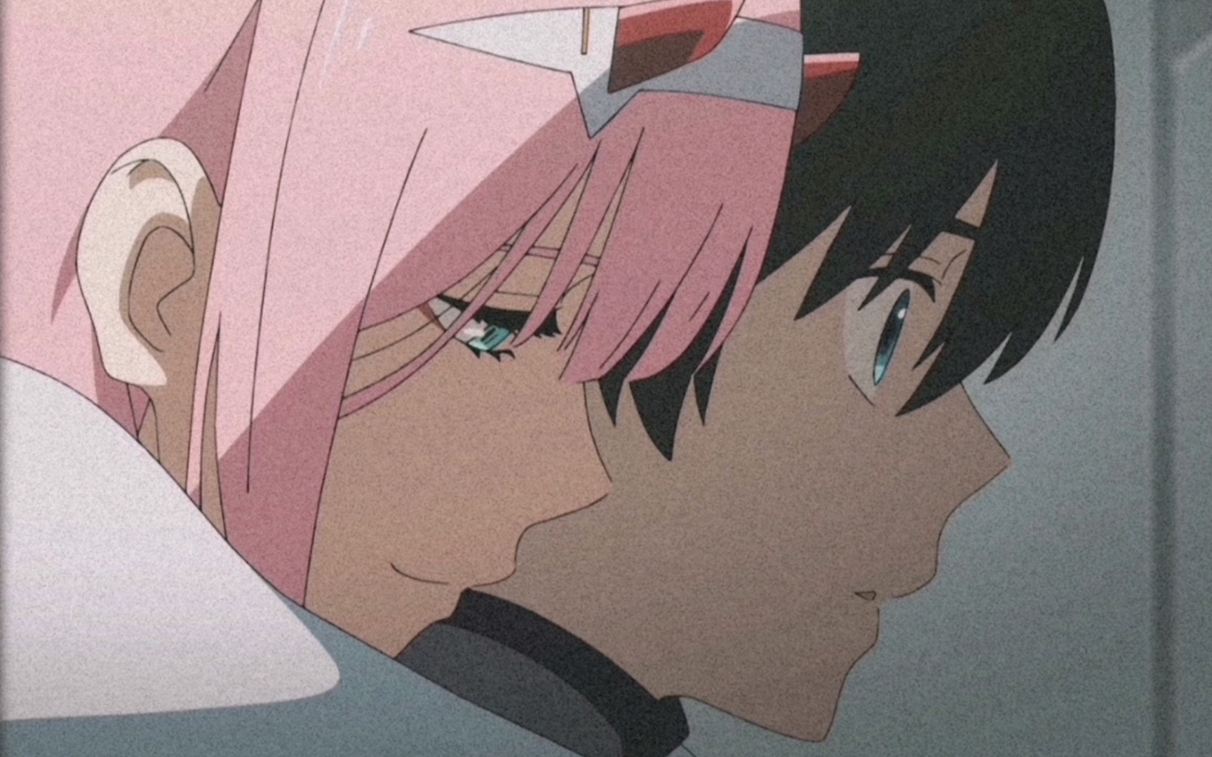 鹤望兰永不凋零,比翼鸟永世长存