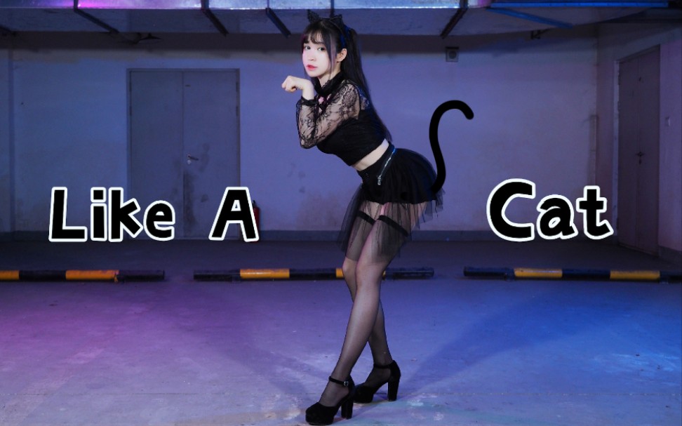 [图]【糖小V】Like a cat猫步轻俏【做你的猫～】