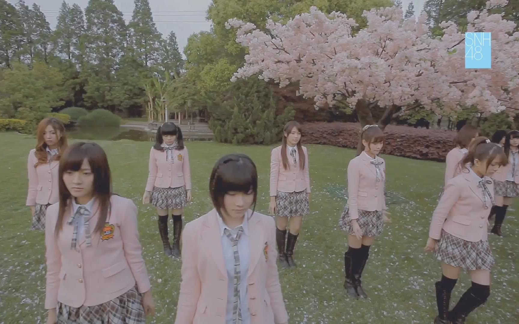 化作樱花树 snh48