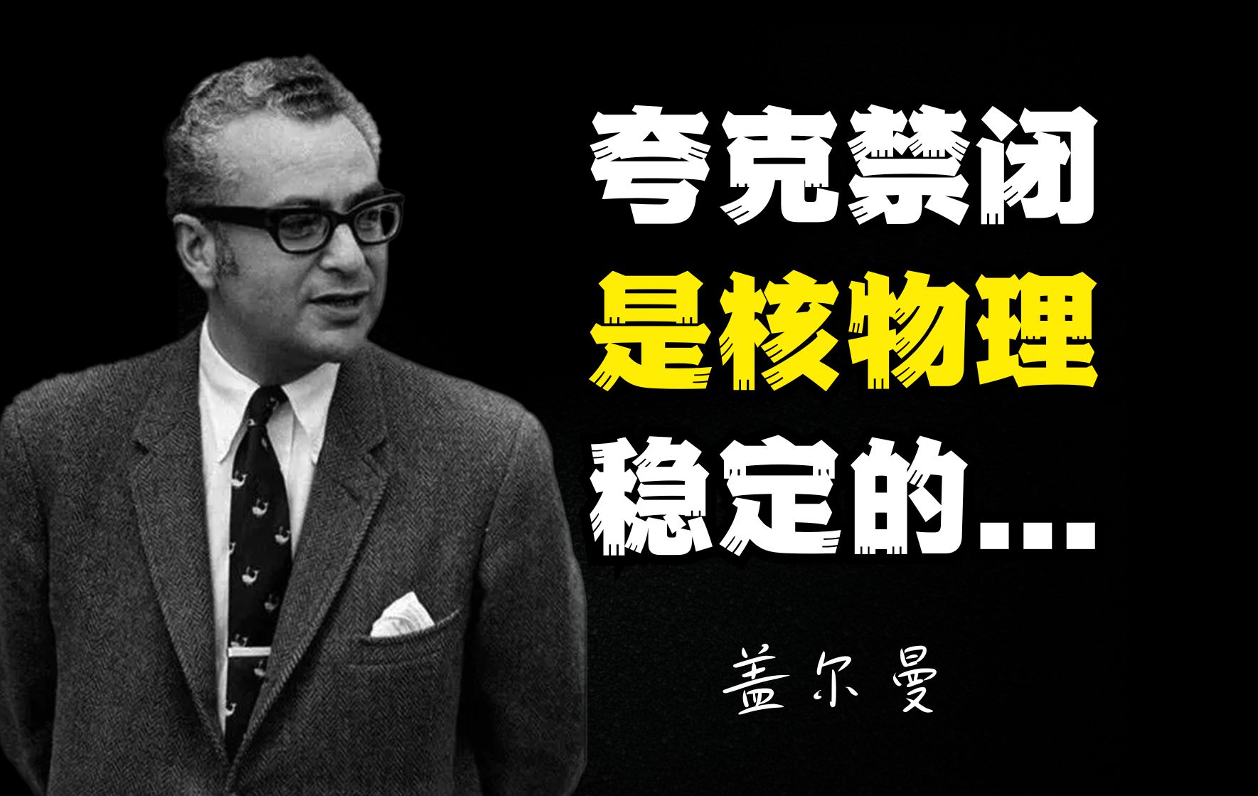 盖尔曼:夸克禁闭是核物理学乃至整个物质世界稳定性理论的基础哔哩哔哩bilibili