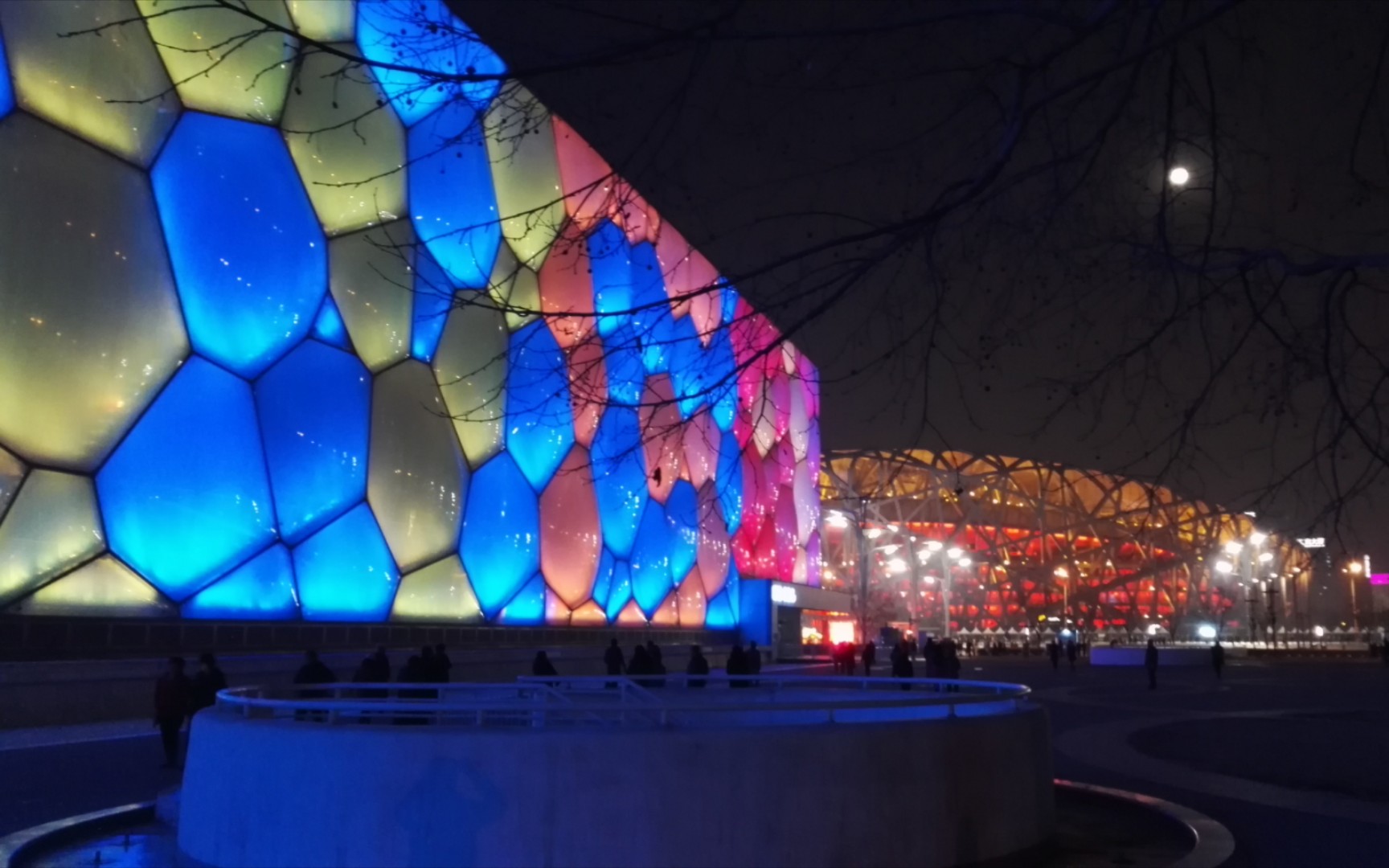 鸟巢,水立方,月亮,树影