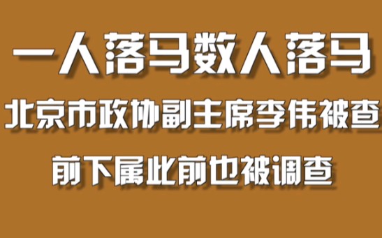 北京市政协副主席李伟被查,前下属此前也被调查哔哩哔哩bilibili