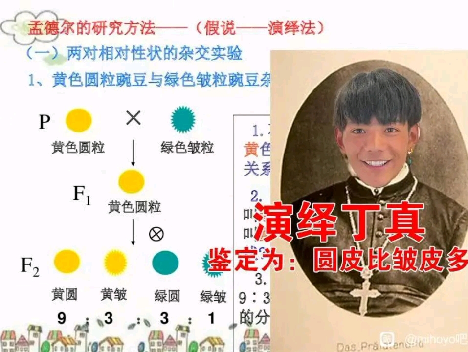 农友孟德尔与皱皮原皮豌豆的杂交实验