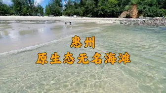 Download Video: 在惠州，又发现一个玻璃海沙滩，可自驾直达！这里有清澈透亮的果冻海，还可以浮潜，赶海，露营，烧烤，很适合亲子度假玩水，满足夏日海边亲子度假的快乐！